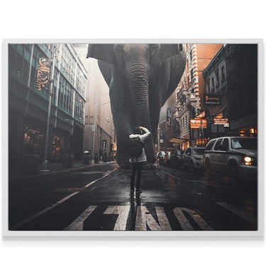 Elephant In Street