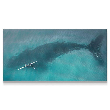 Kayak Whale