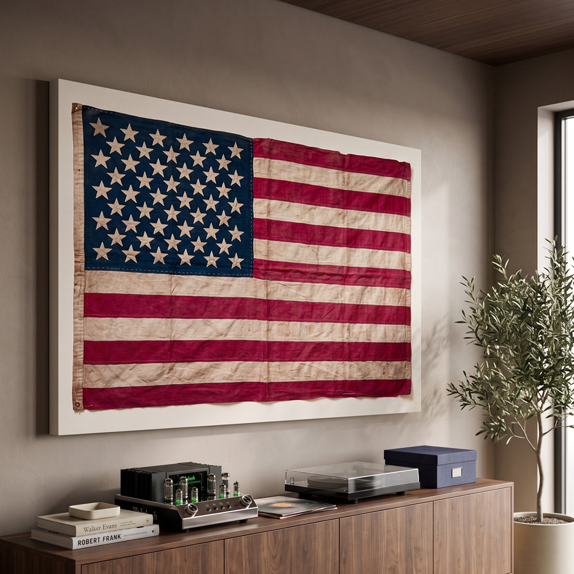 America's Flag