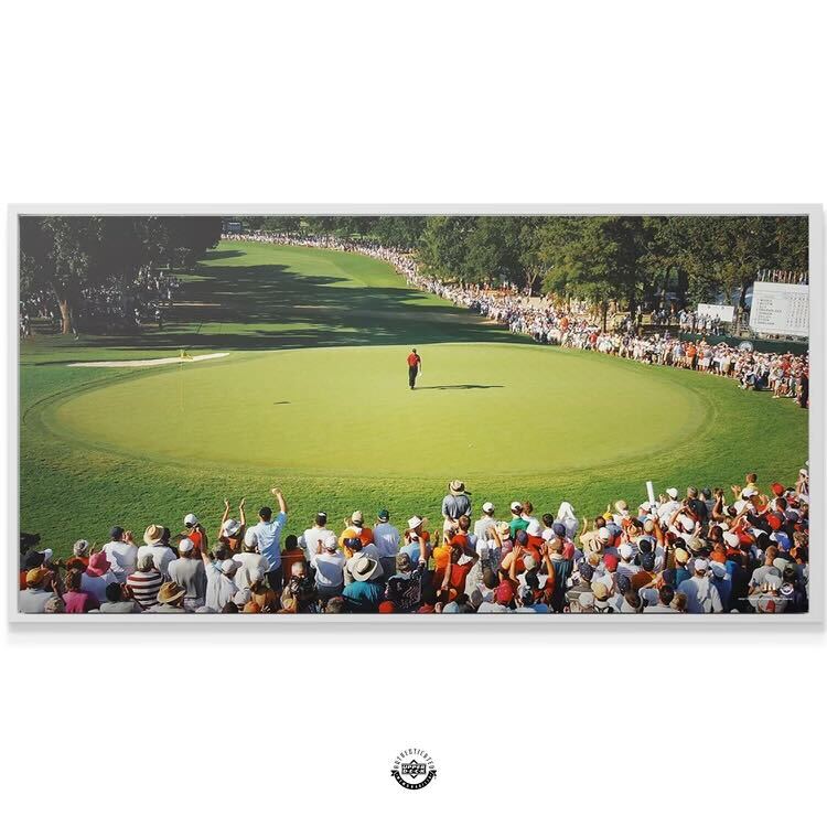 Tiger Woods - Main Stage - IKONICK - Tiger Woods