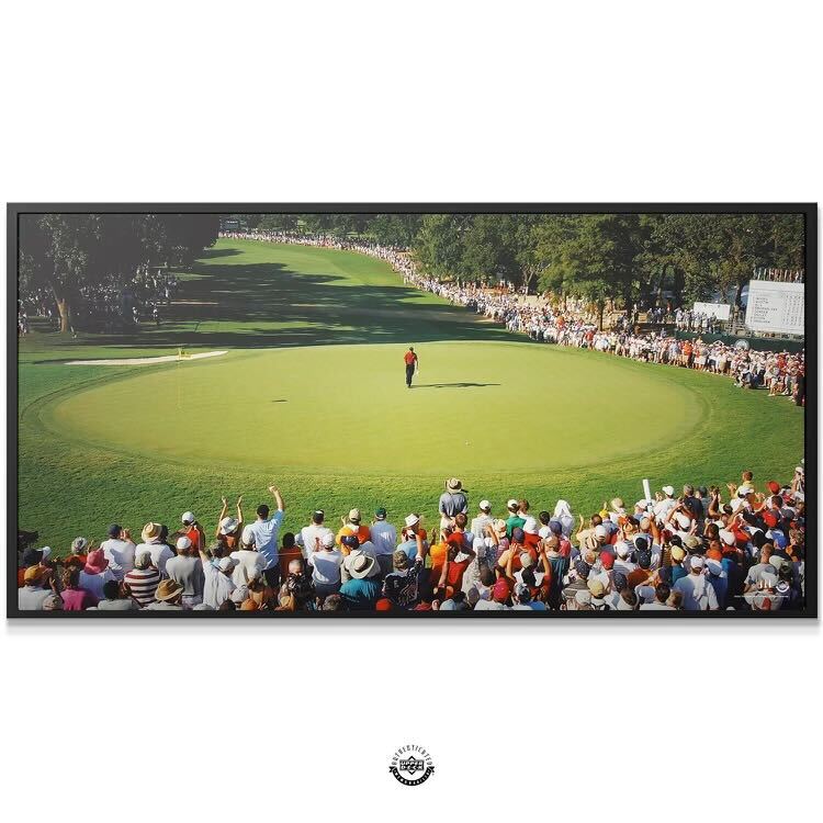 Tiger Woods - Main Stage - IKONICK - Tiger Woods