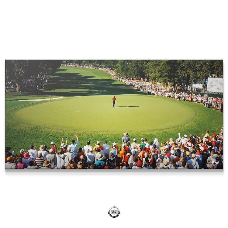 Tiger Woods - Main Stage - IKONICK - Tiger Woods