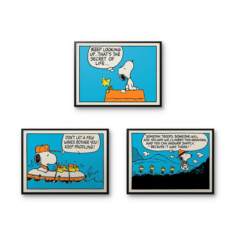 Peanuts - Comic Book Bundle - IKONICK - Peanuts