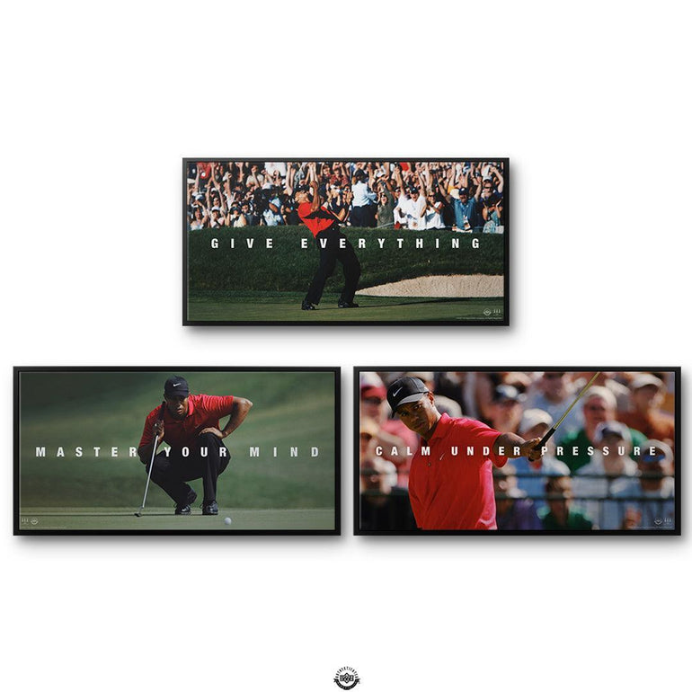 Officially Licensed Tiger Woods Wall Art Only from IKONICK