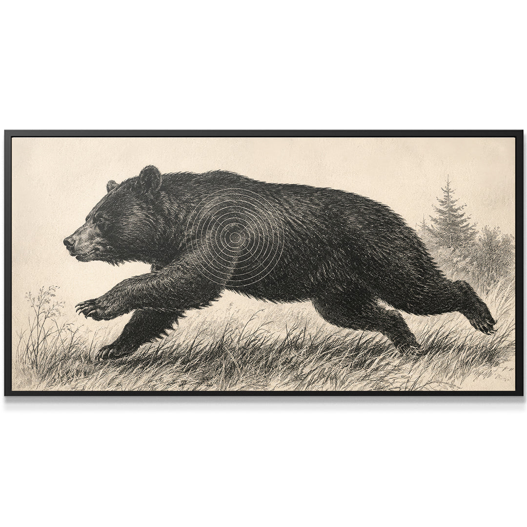 American Black Bear Shot Placement