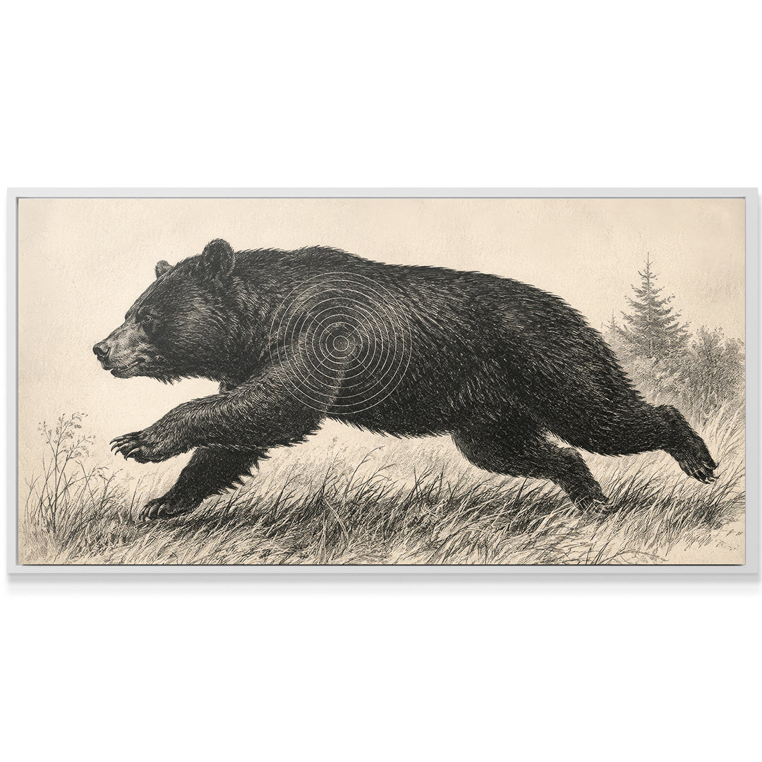 American Black Bear Shot Placement