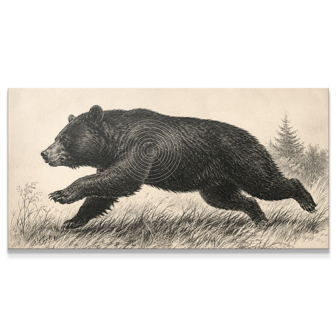 American Black Bear Shot Placement