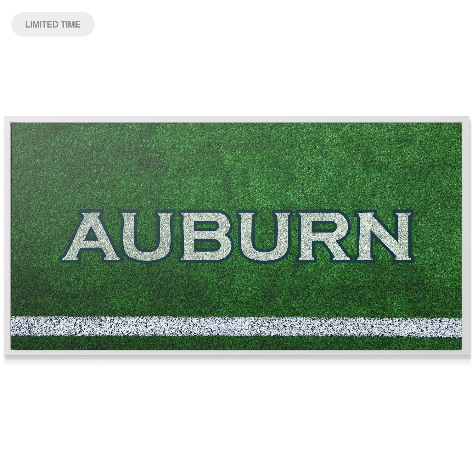 Auburn - Field Logo - IKONICK - IKONICK Original