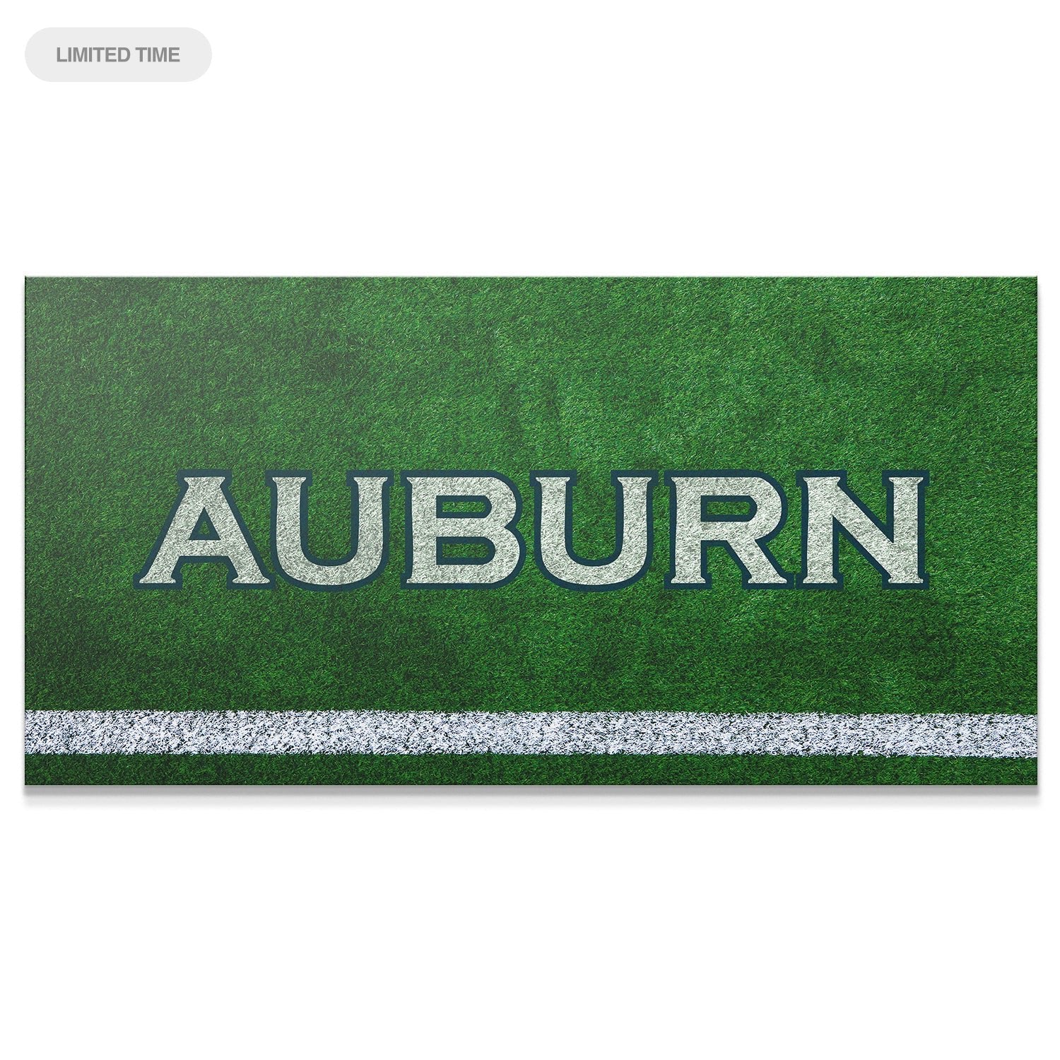 Auburn - Field Logo