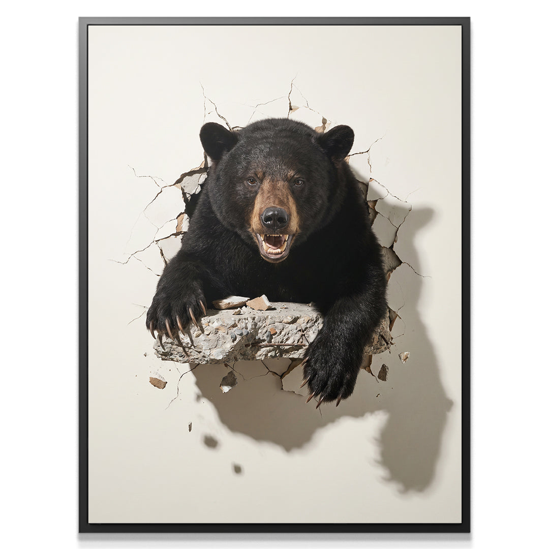 Bear Break In