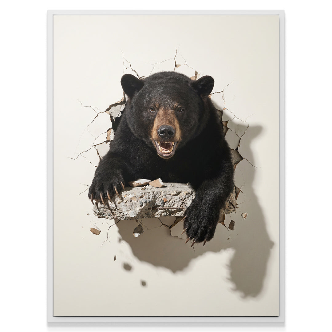 Bear Break In