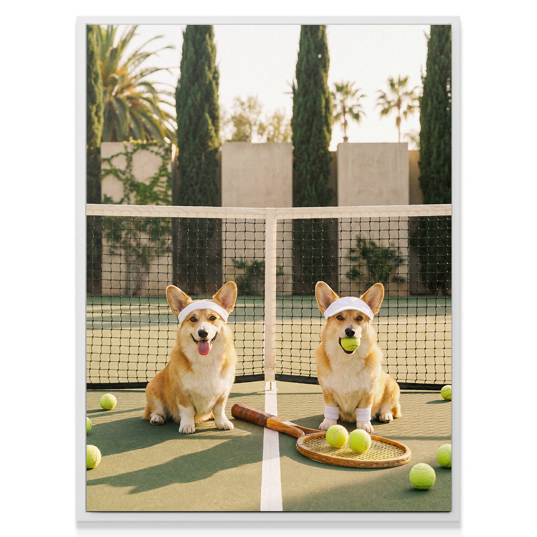 Corgi Tennis