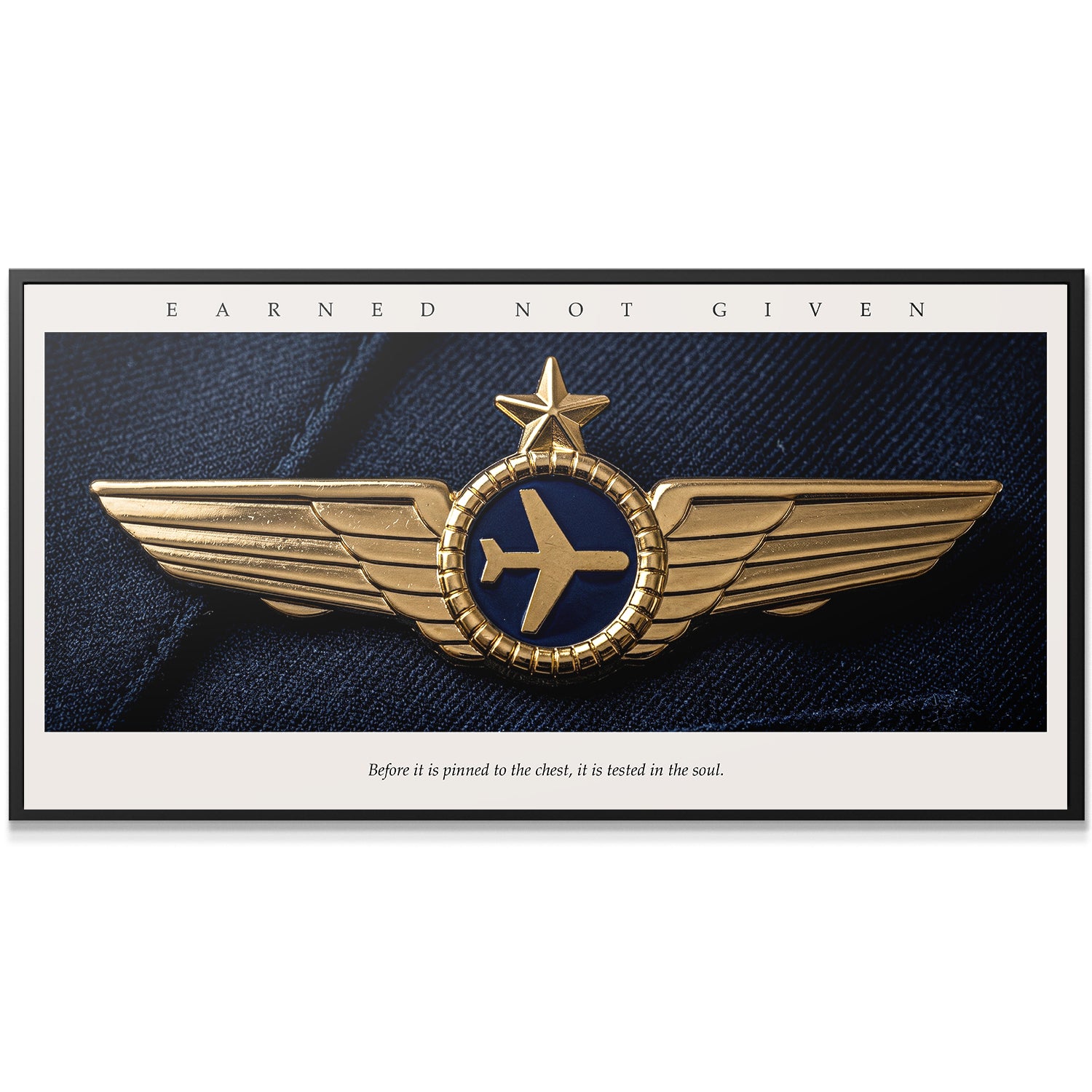 Earned Not Given - Pilot Wings