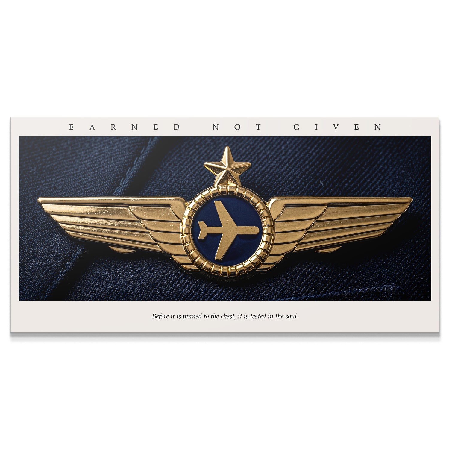 Earned Not Given - Pilot Wings