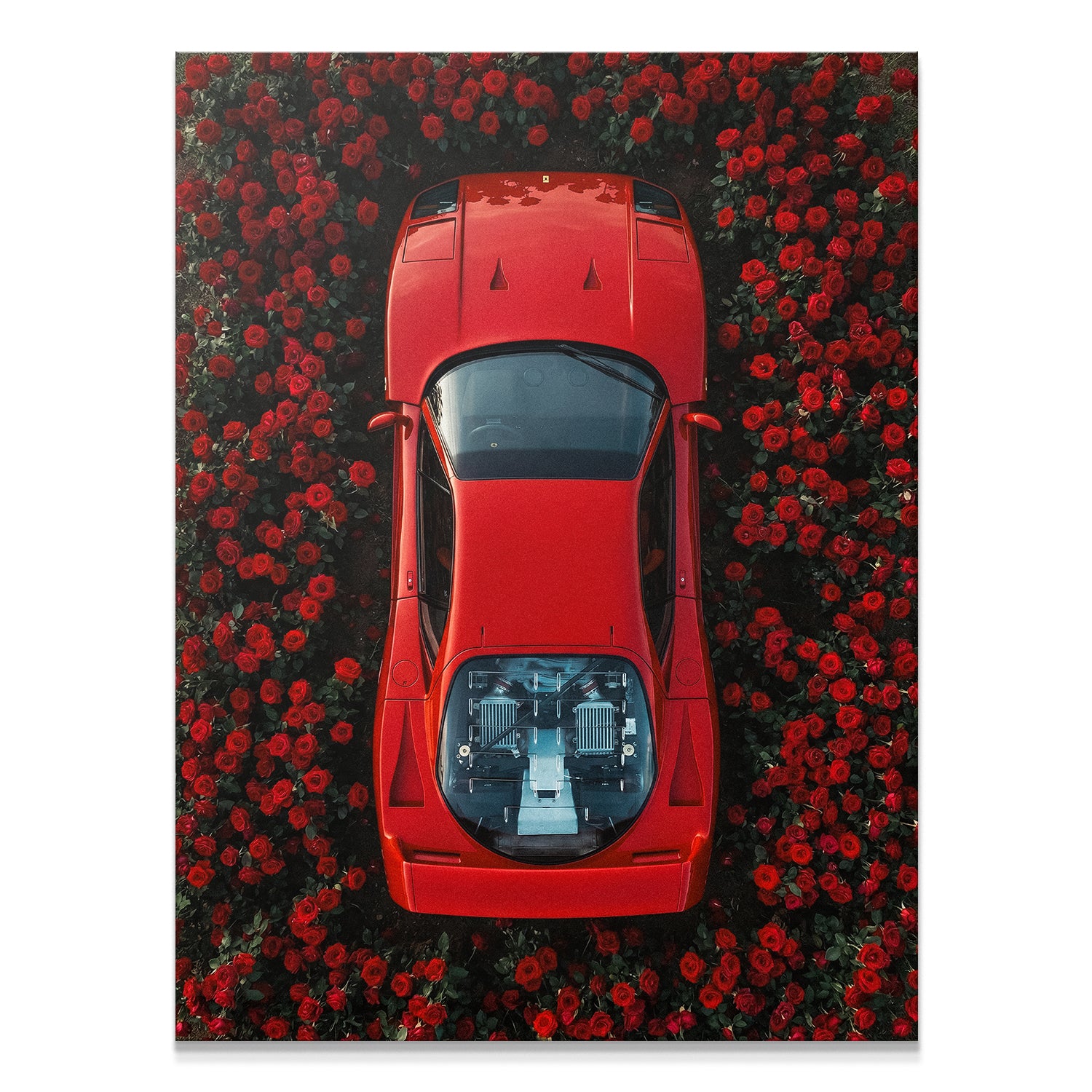 F40 Roses