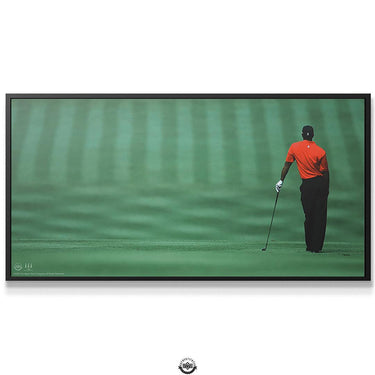Tiger Woods - Focused