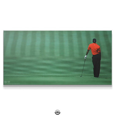 Tiger Woods - Focused
