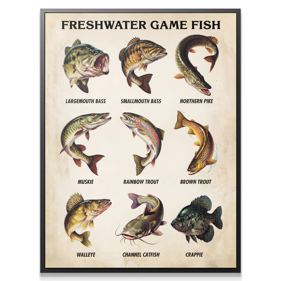 Freshwater Gamefish