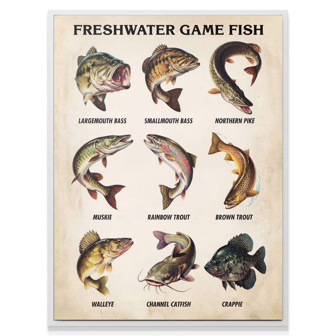 Freshwater Gamefish