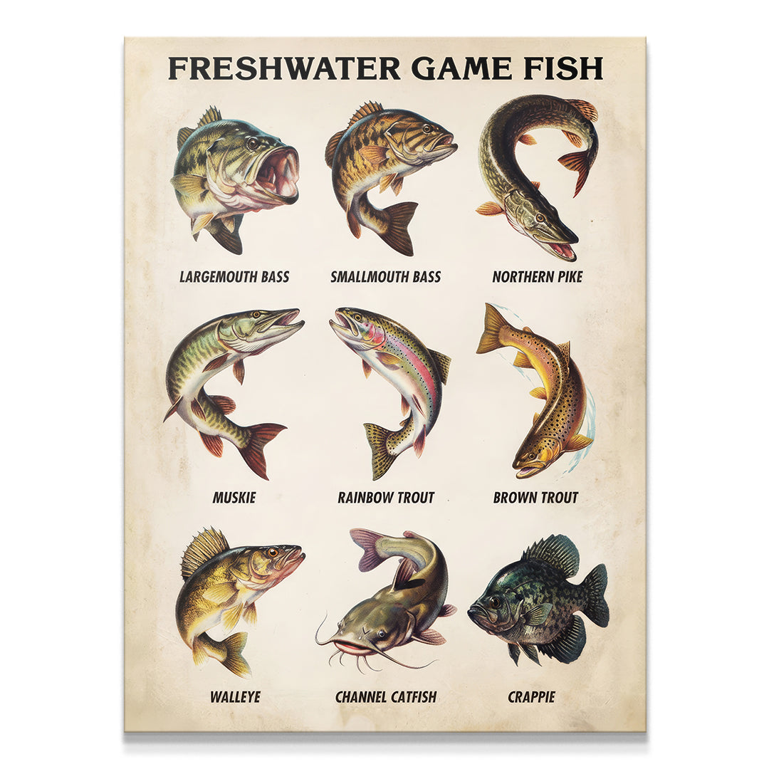 Freshwater Gamefish