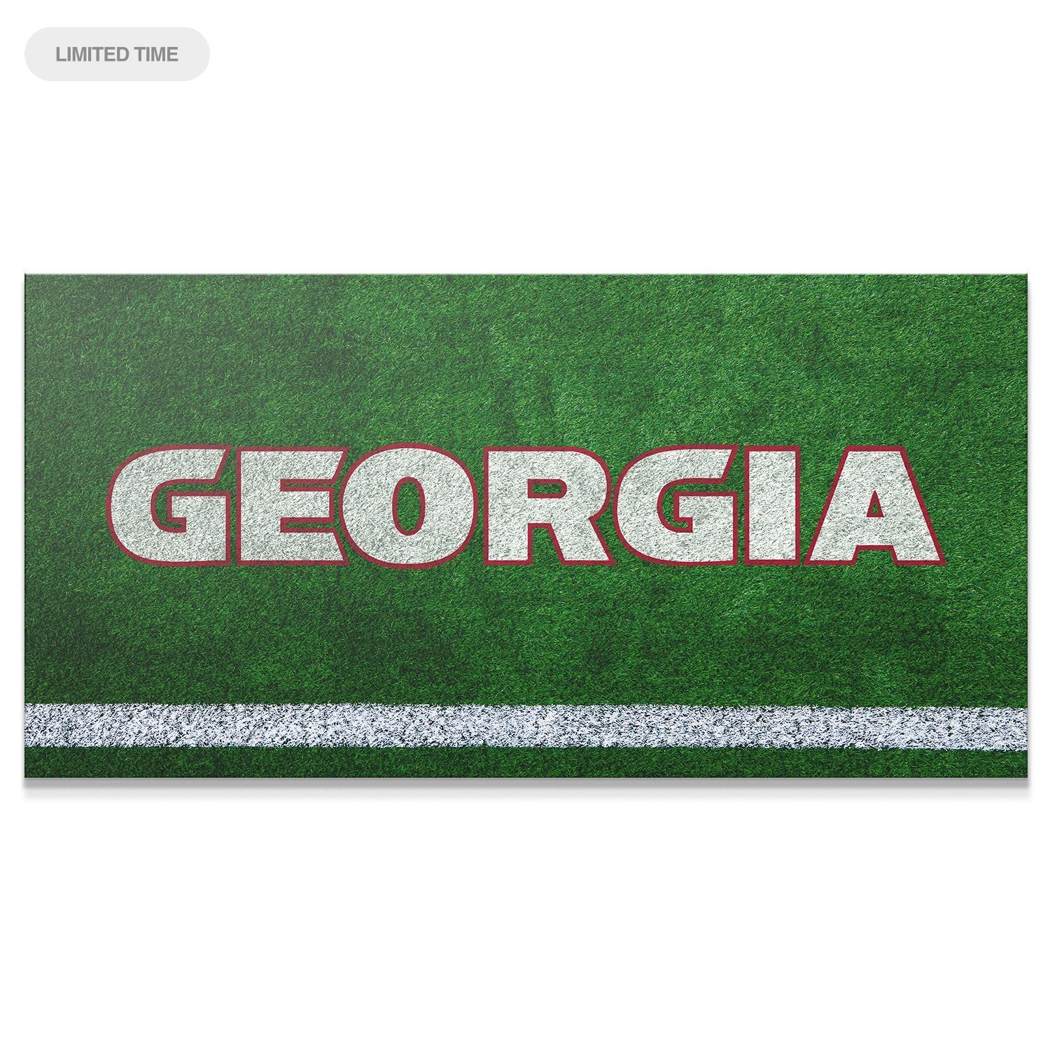 Georgia - Field Logo
