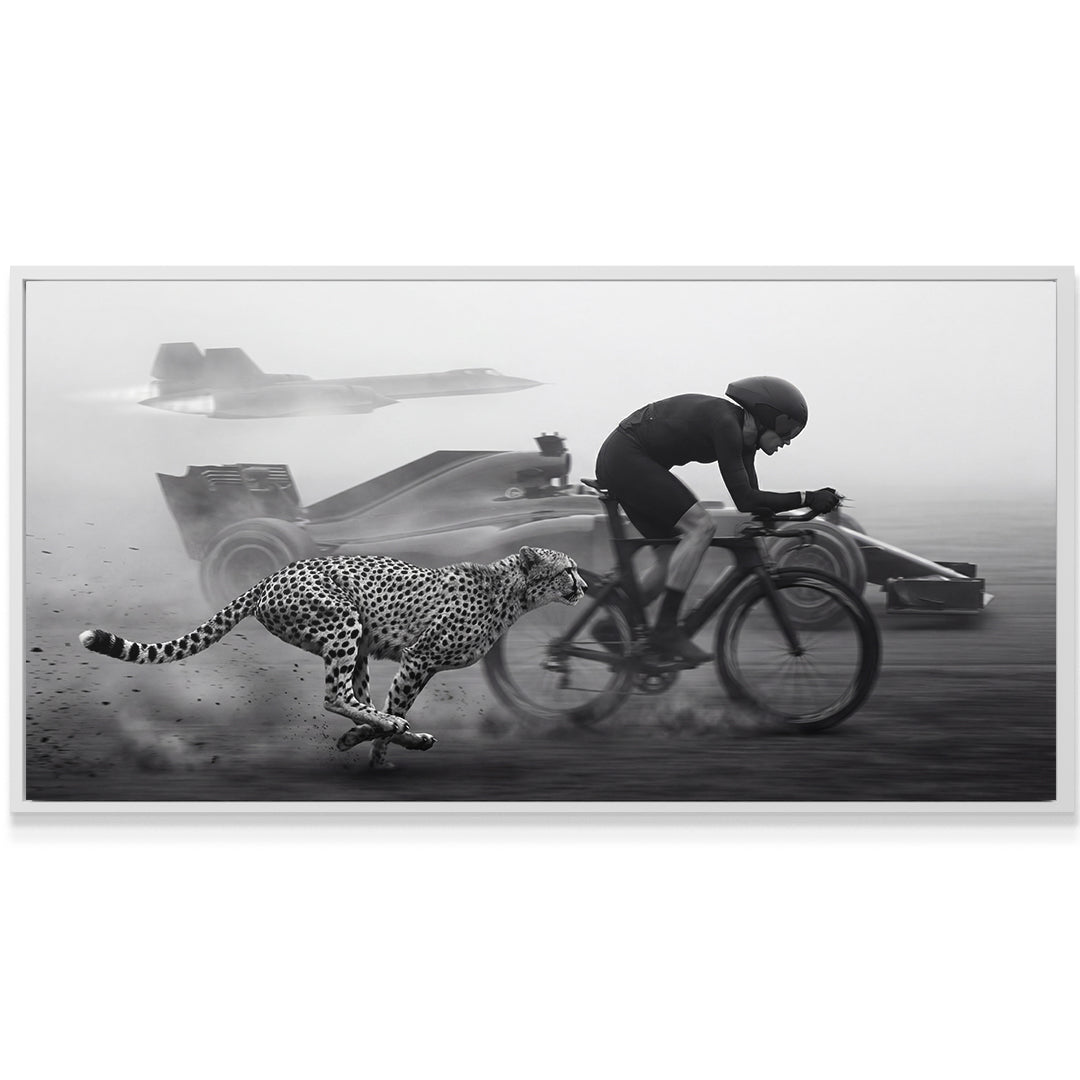 Bike vs Everything