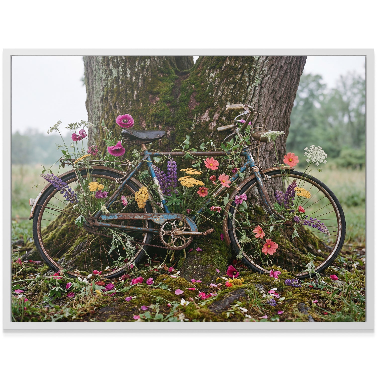 Bike Bloom