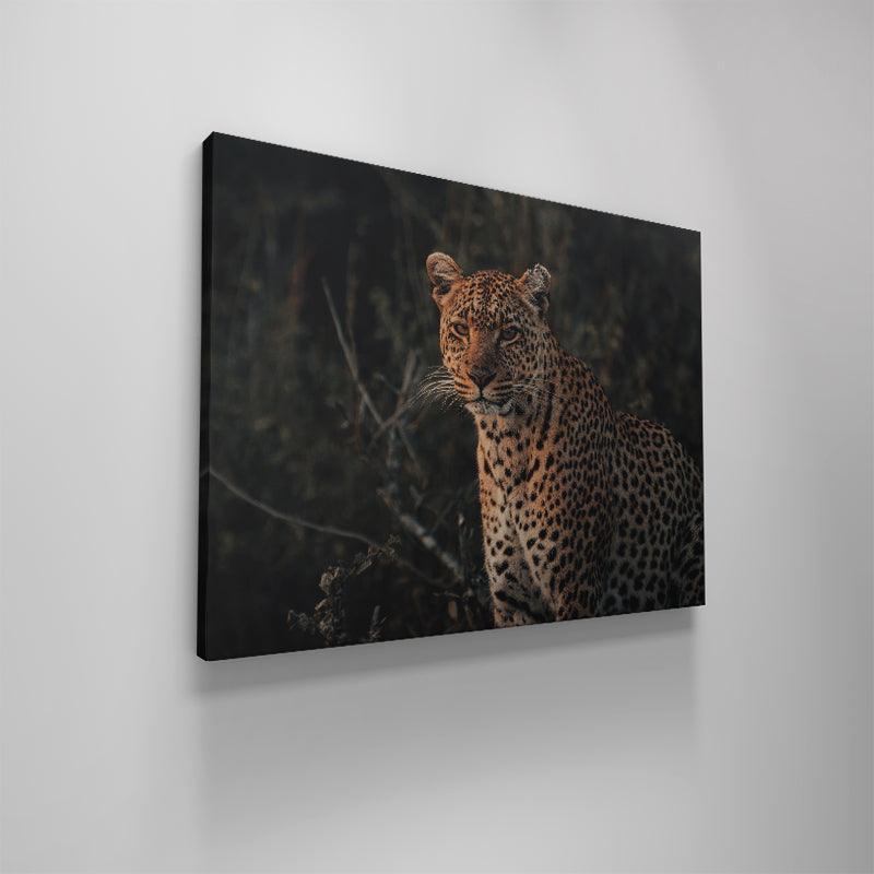 Eyes of Beauty - IKONICK - shortstache™︎