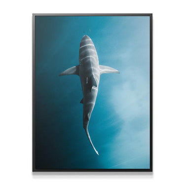 Electric Shark - Official IKONICK Art