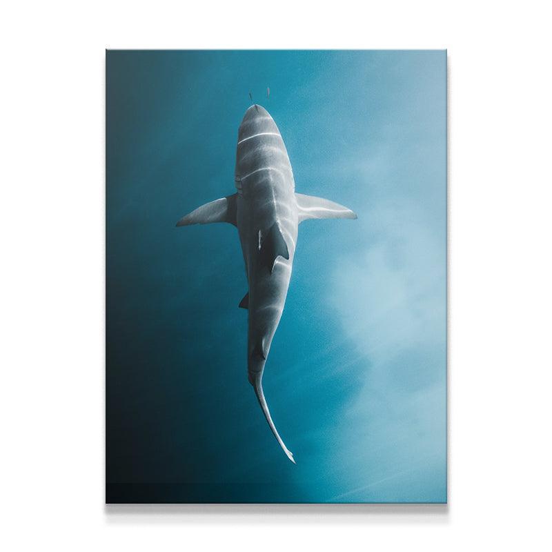 Electric Shark - IKONICK - Phil de Glanville