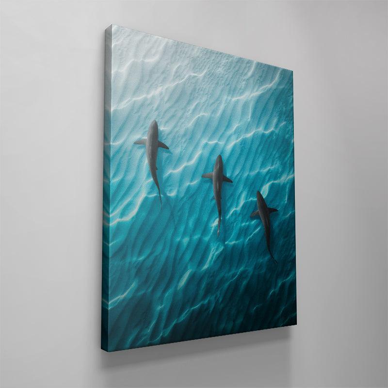 Shark Angle - IKONICK - Phil de Glanville