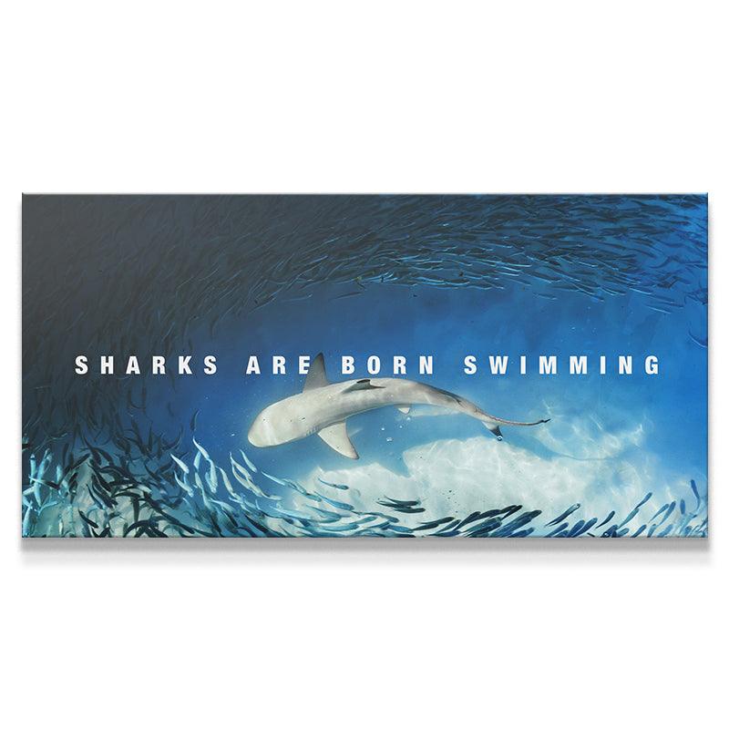 Sharks Are Born Swimming - IKONICK - IKONICK Original