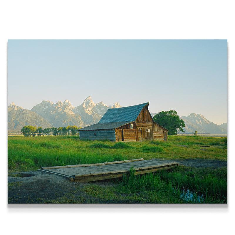 Jackson Greens - IKONICK - Sol Rapson