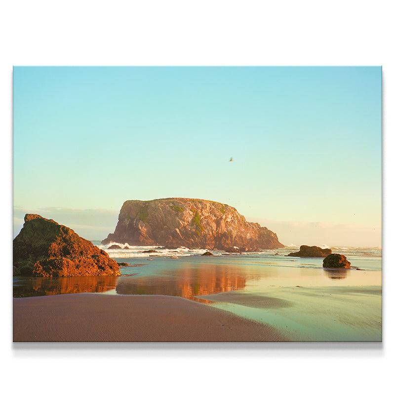 The Bird from Bandon - IKONICK - Sol Rapson