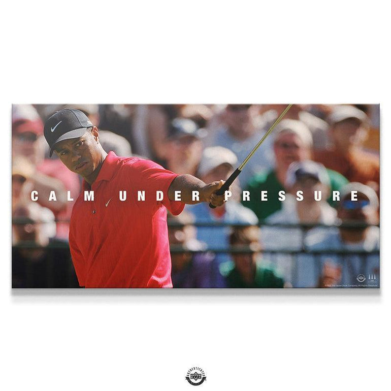 Officially Licensed Tiger Woods Wall Art Only from IKONICK