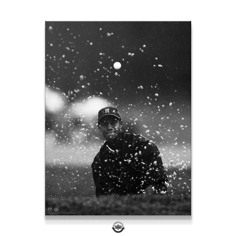 Tiger Woods - Splash - IKONICK - Tiger Woods