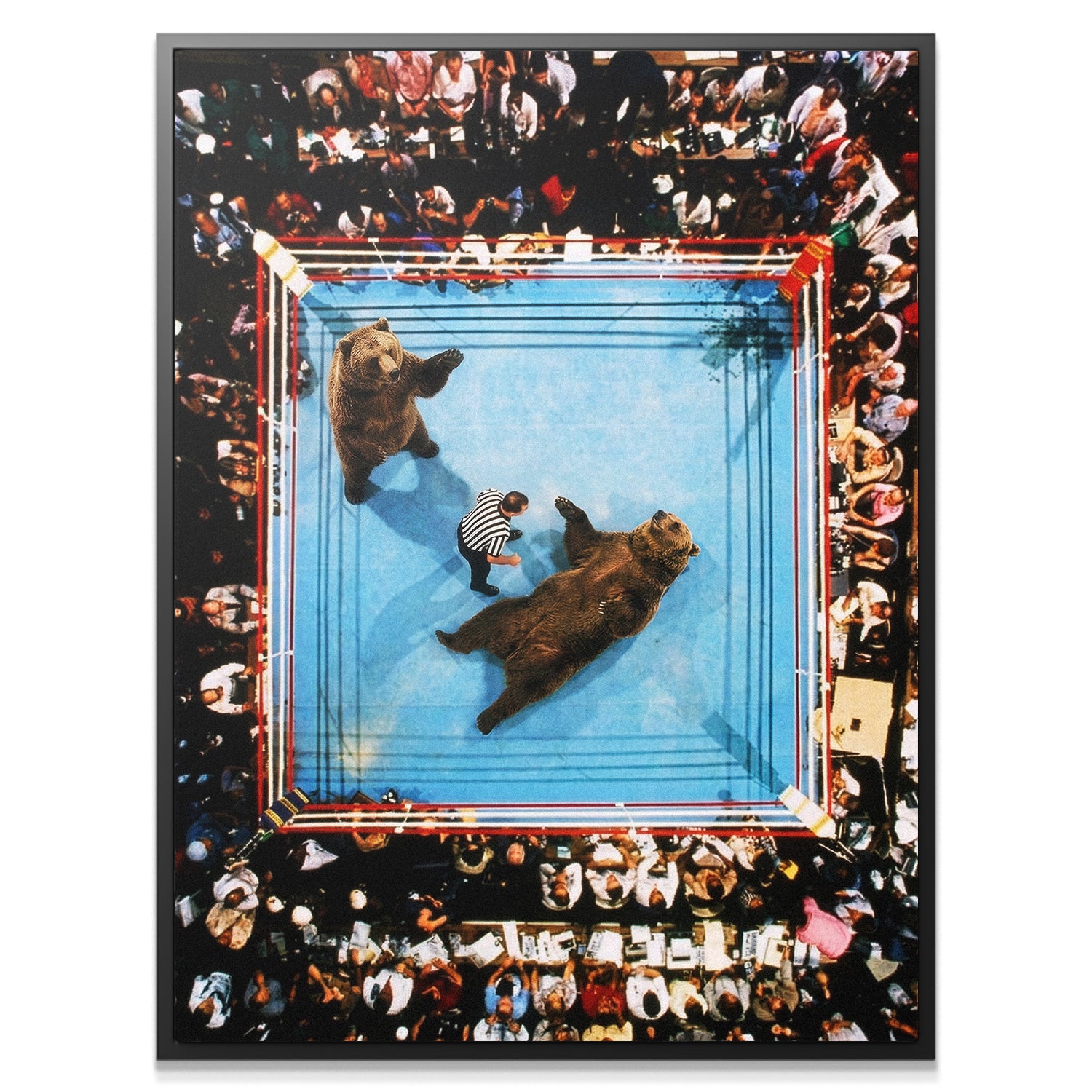 Bear Wrestle