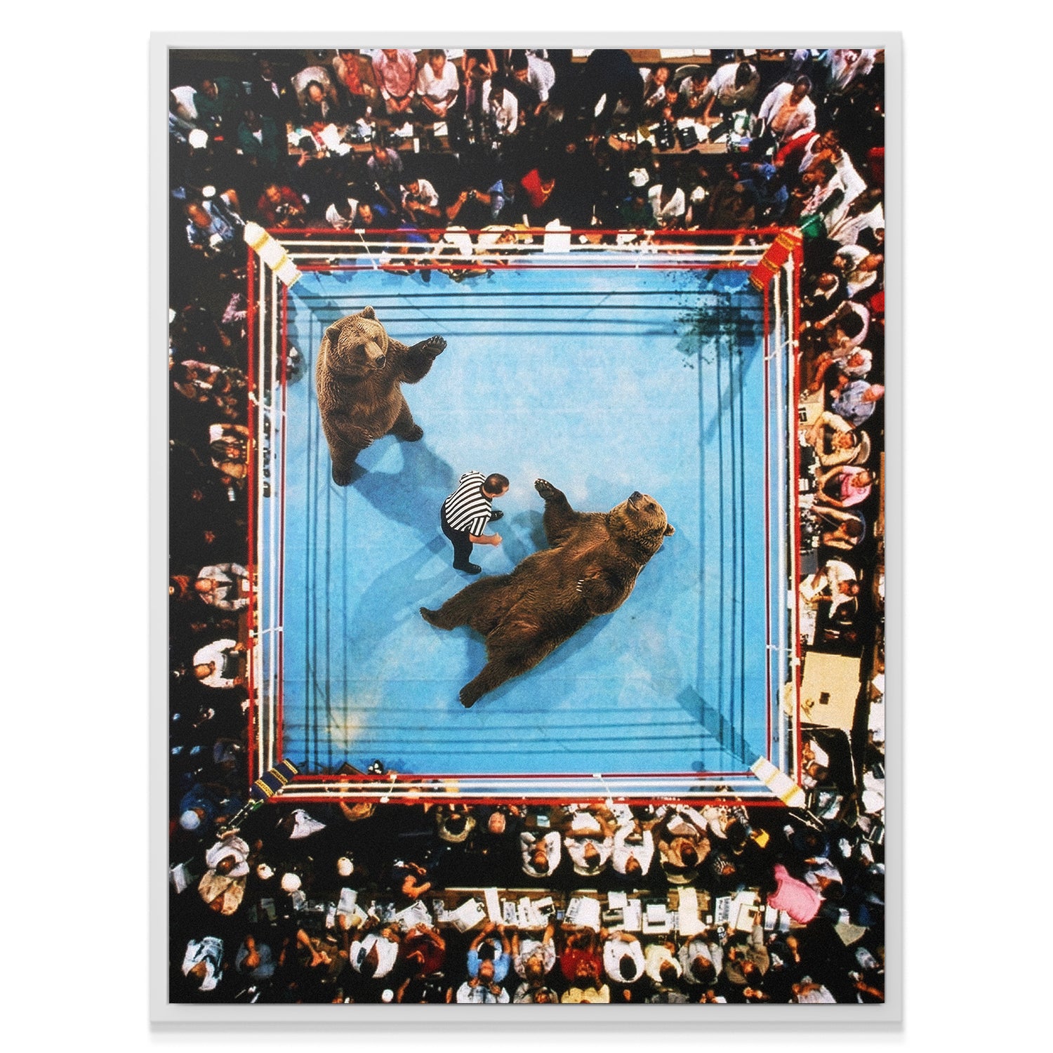Bear Wrestle