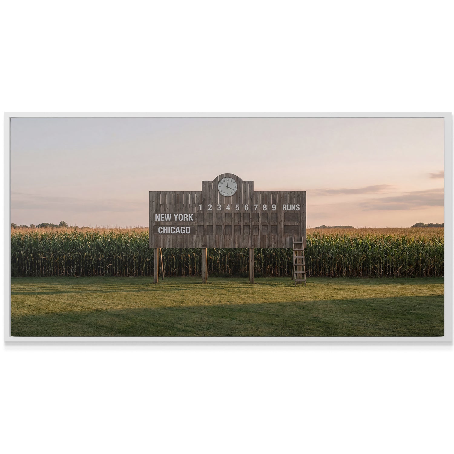 Field of Summer