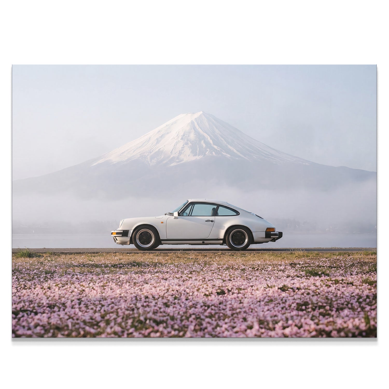 Fuji Drive
