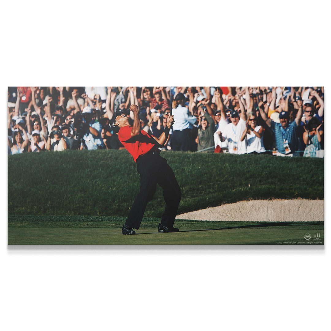 Tiger Woods - Give Everything (No Quote) - IKONICK - Tiger Woods