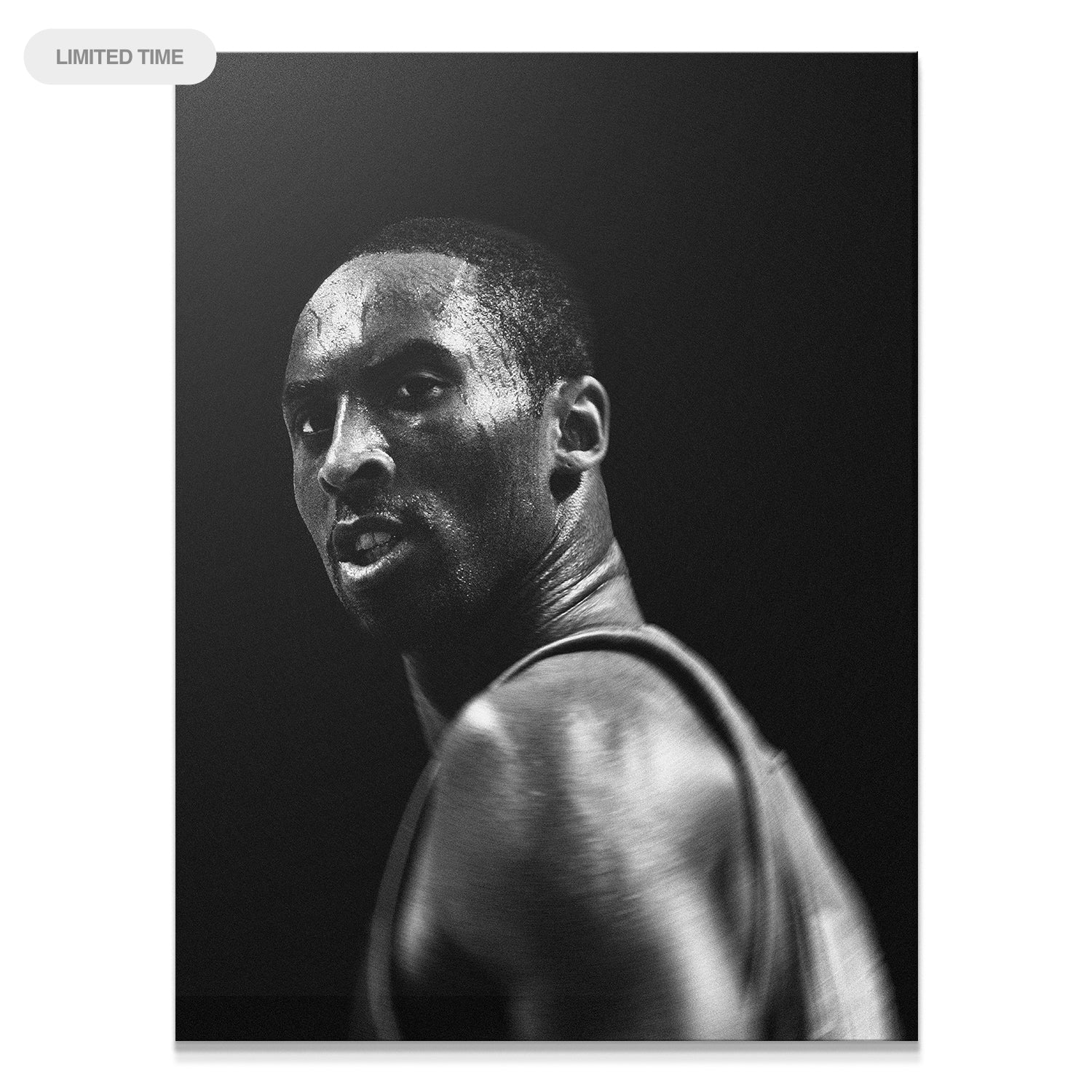 Kobe Bryant - Mamba