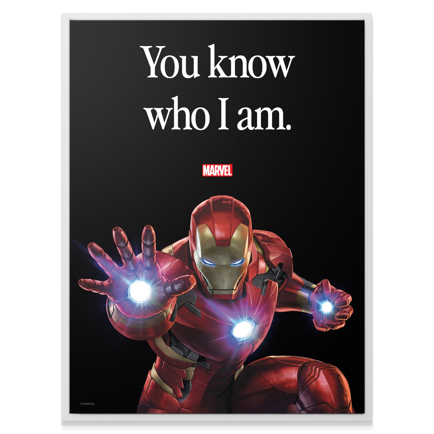 Marvel - Iron Man - You Know Who I Am - IKONICK - Marvel
