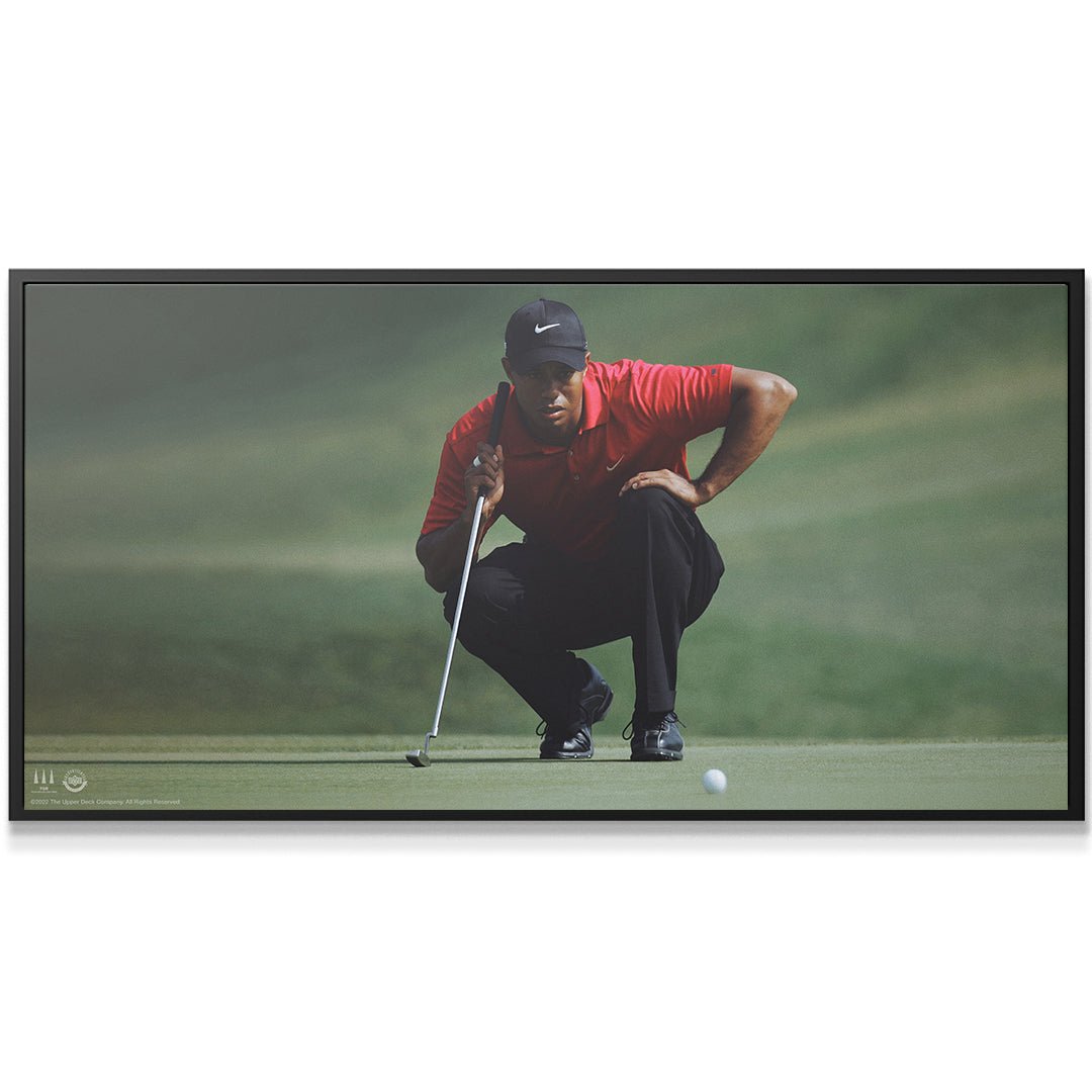 Tiger Woods - Master Your Mind (No Quote)