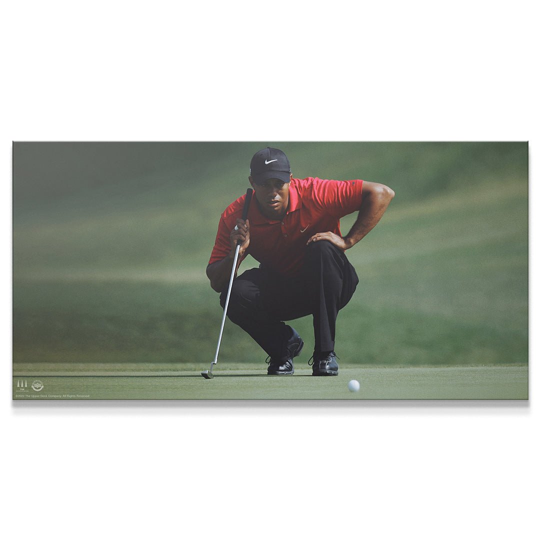 Tiger Woods - Master Your Mind (No Quote) - IKONICK - Tiger Woods