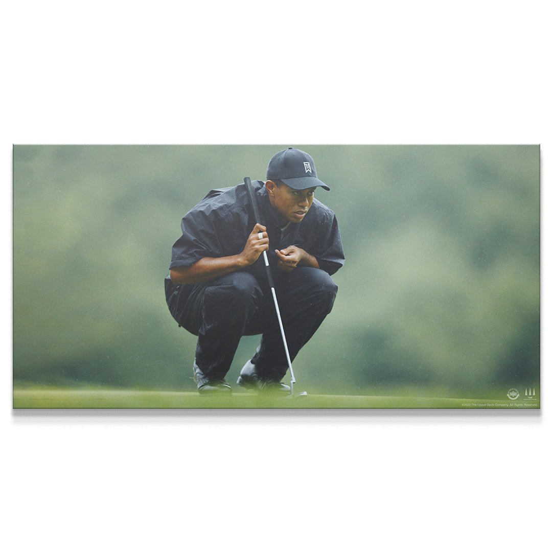 Tiger Woods - Mindset Is Everything (No Quote) - IKONICK - Tiger Woods