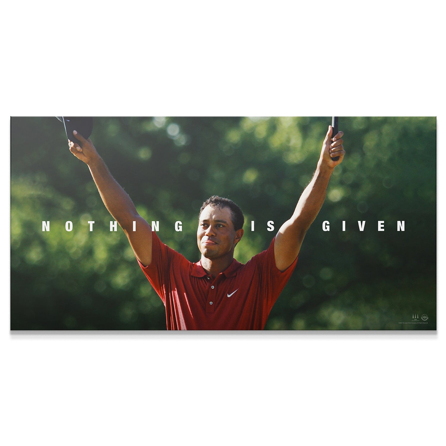 Tiger Woods - Nothing Is Given - IKONICK - Tiger Woods