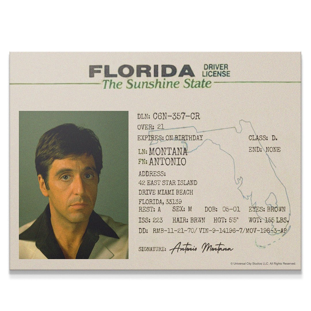 Scarface - Sunshine State - IKONICK - Scarface