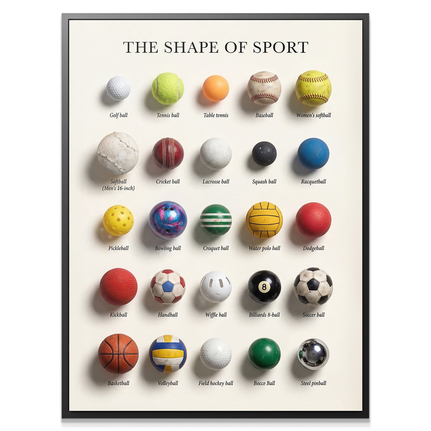 The Shape of Sport