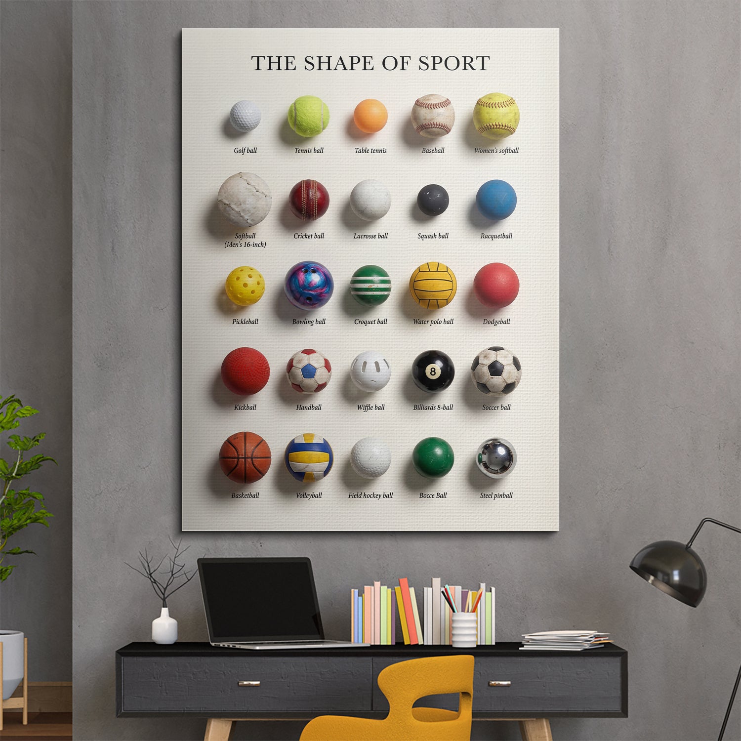 The Shape of Sport